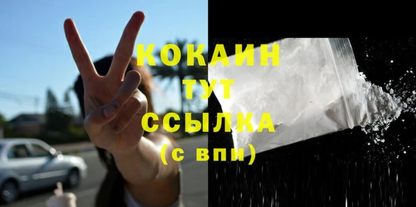 2c-b Снежногорск