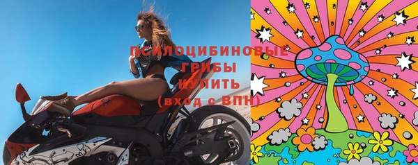 2c-b Снежногорск