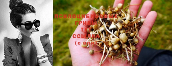 прущая мука Снежинск