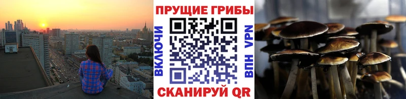 Галлюциногенные грибы Psilocybine cubensis MEGA сайт Холм